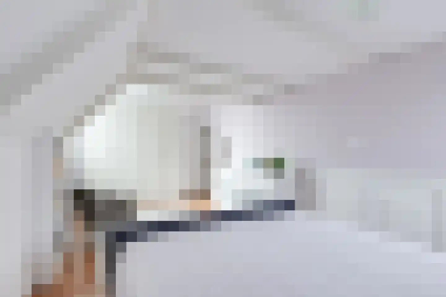 Dorpsstraat 226 Obdam thumbnail 66