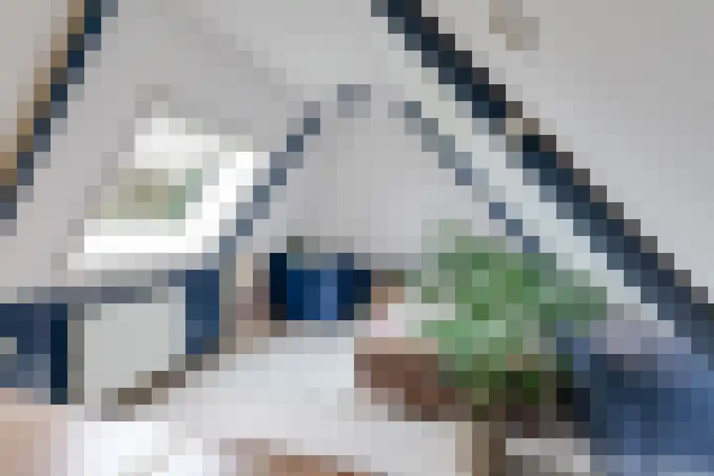 Dorpsstraat 226 Obdam thumbnail 71