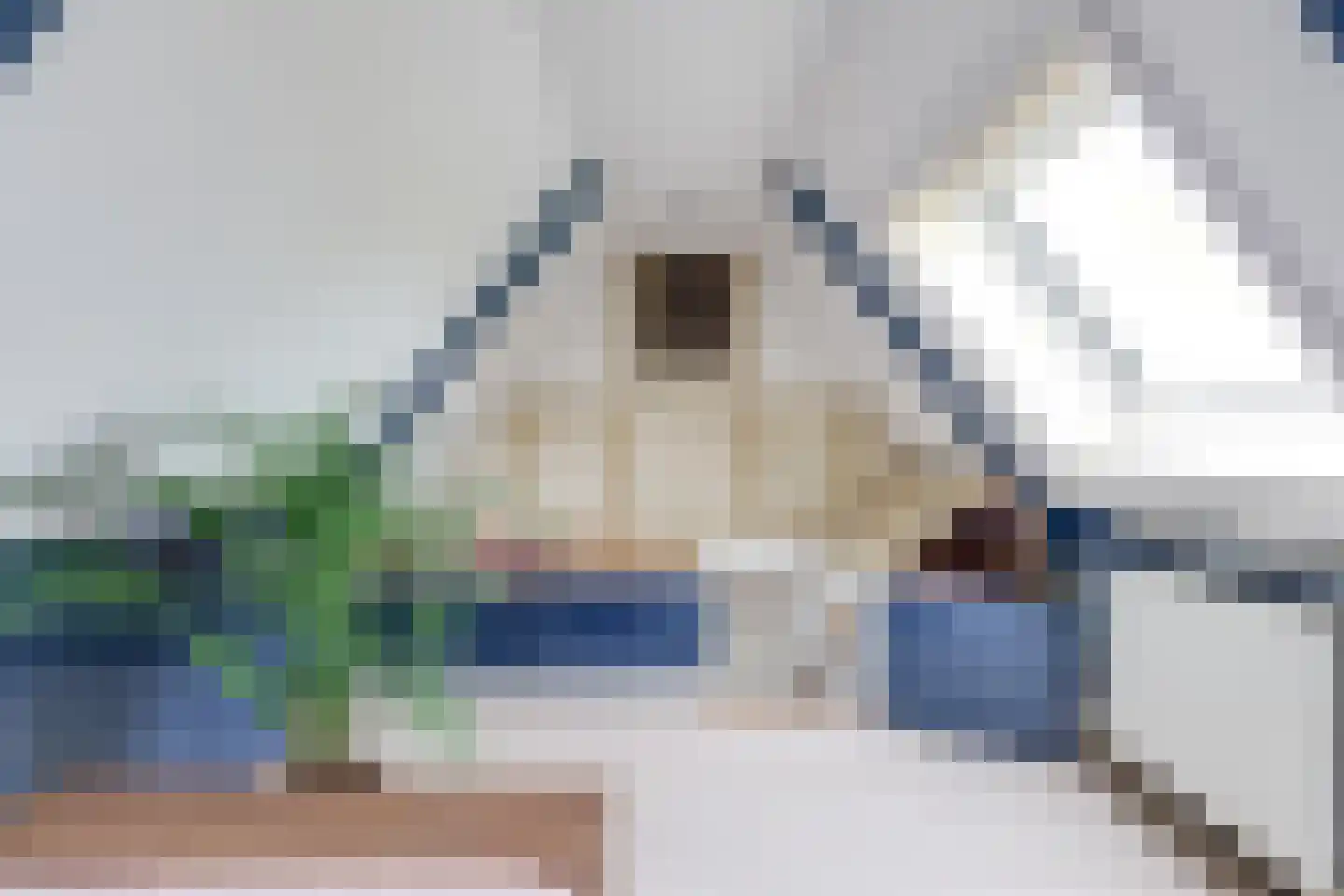 Dorpsstraat 226 Obdam thumbnail 74