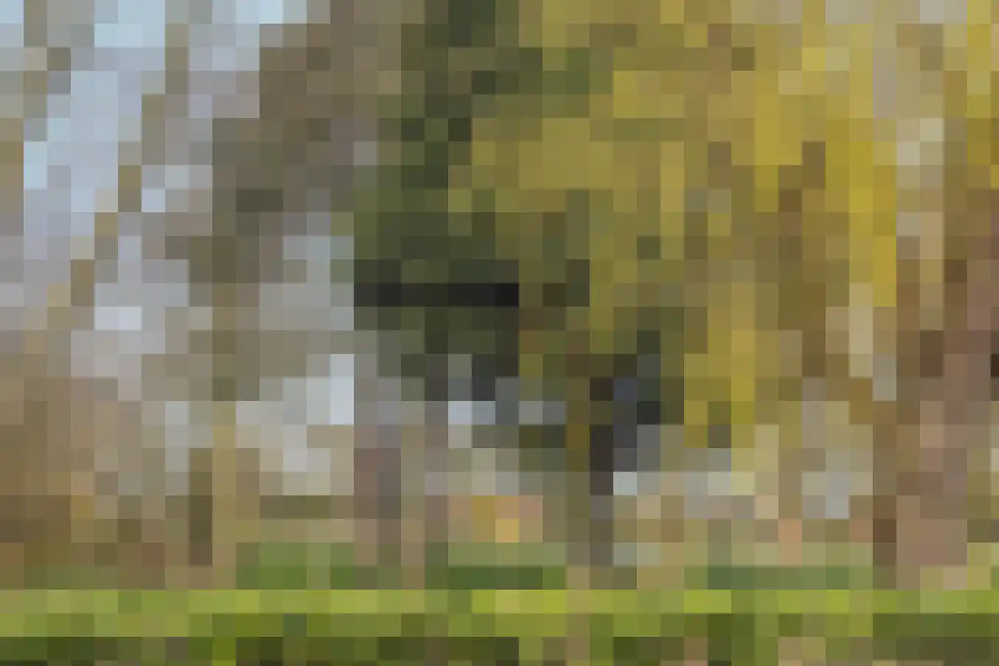 Dorpsstraat 226 Obdam thumbnail 88