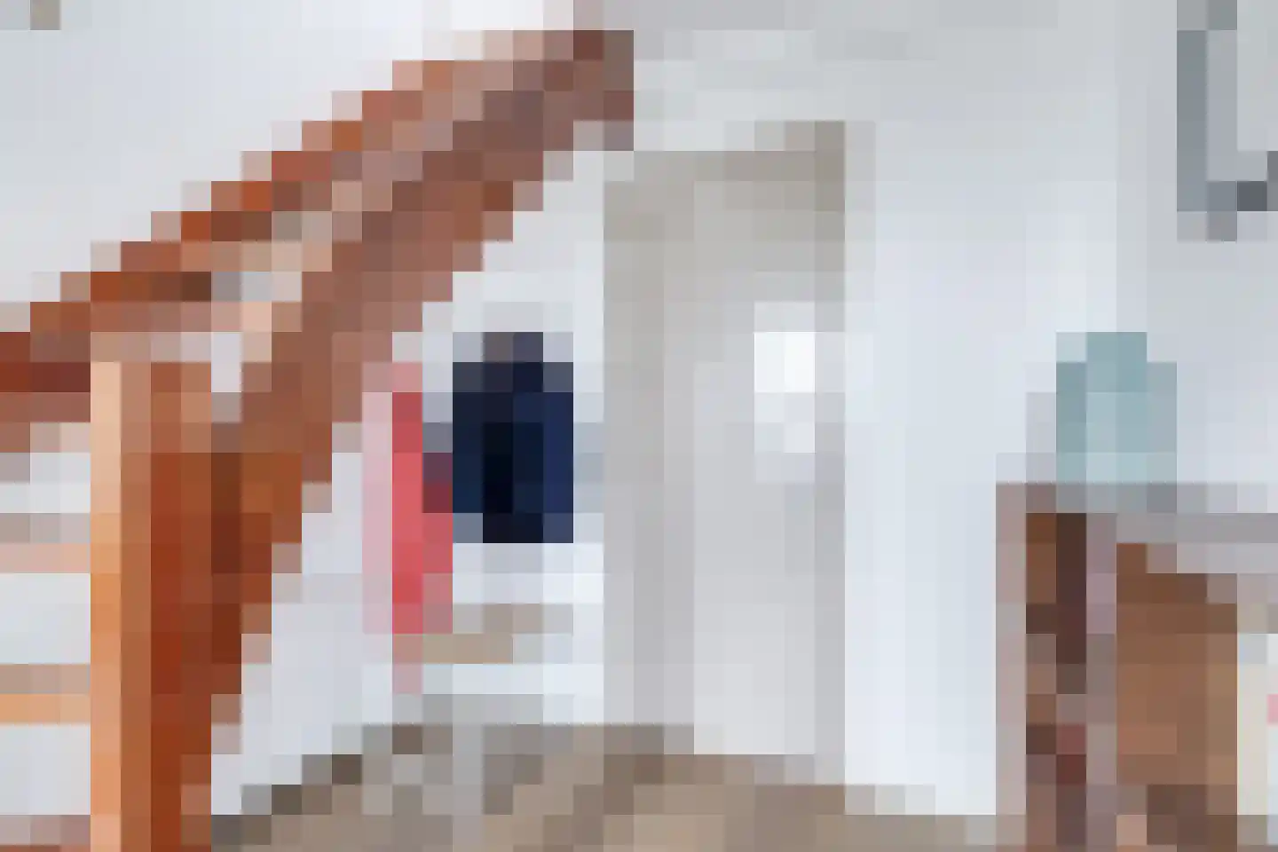 Dorpsstraat 226 Obdam thumbnail 9