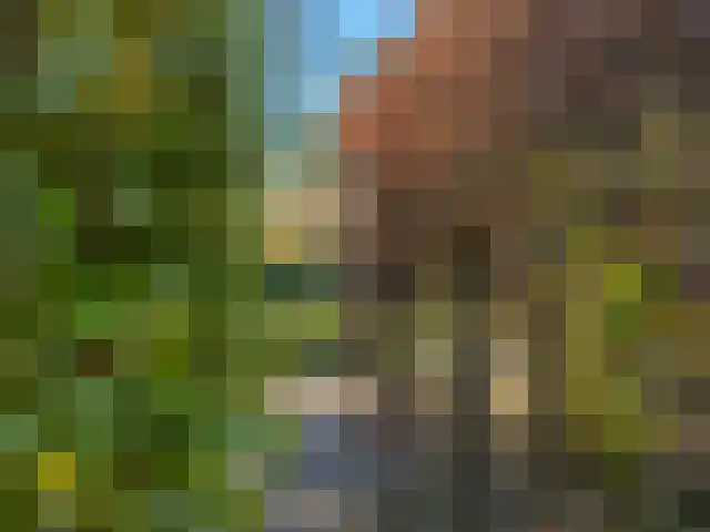 Dorpsstraat 226 Obdam thumbnail 91