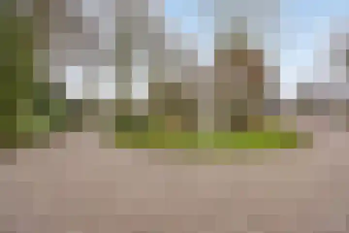 Dorpsstraat 227 Scherpenzeel thumbnail 36