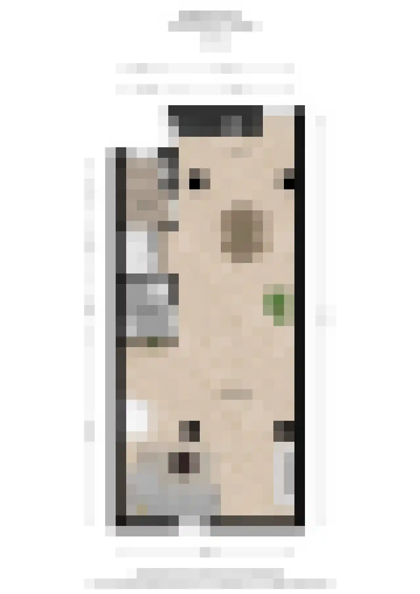 Dorpsstraat 23 a Vledder thumbnail 4