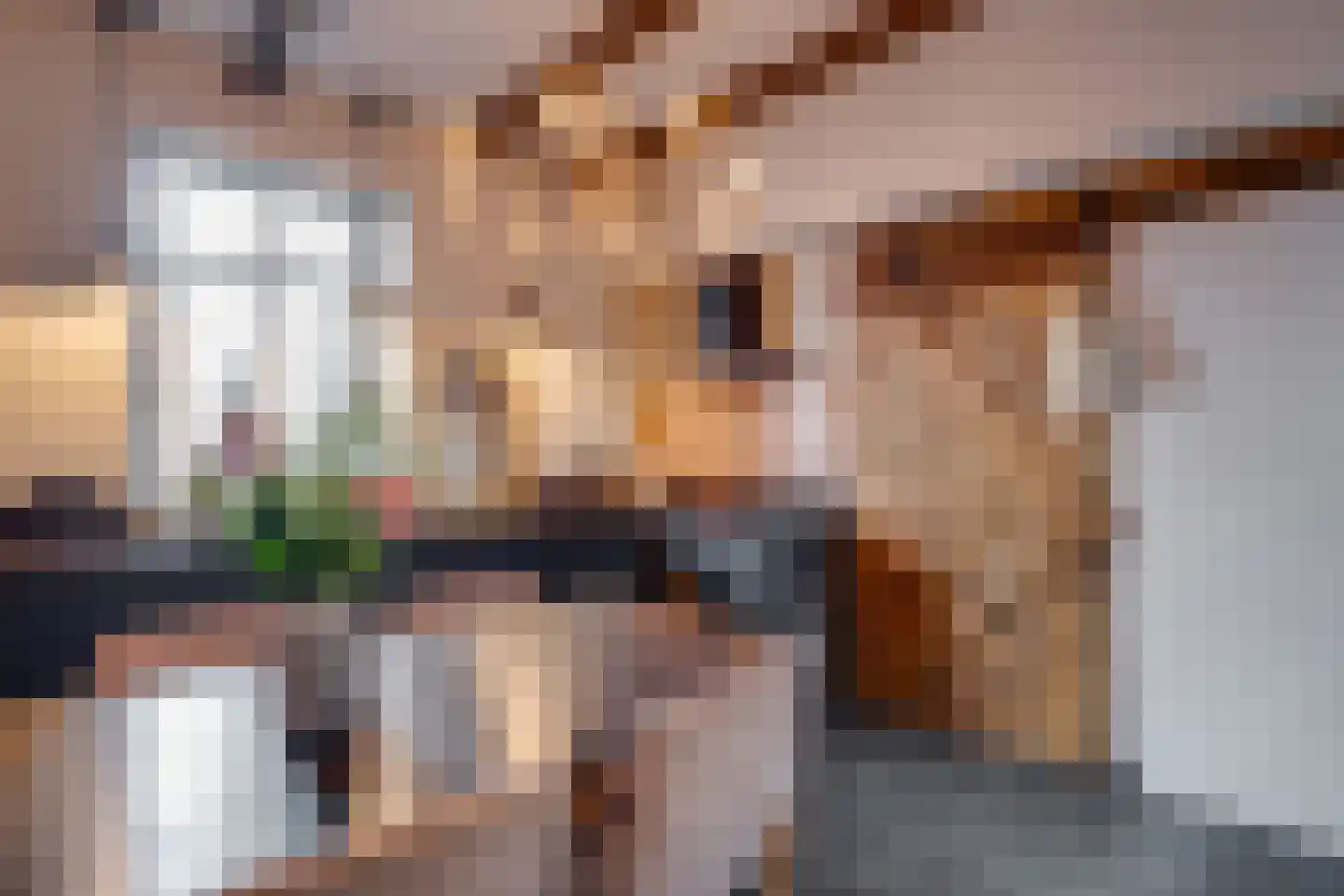 Dorpsstraat 23 Geesteren thumbnail 11