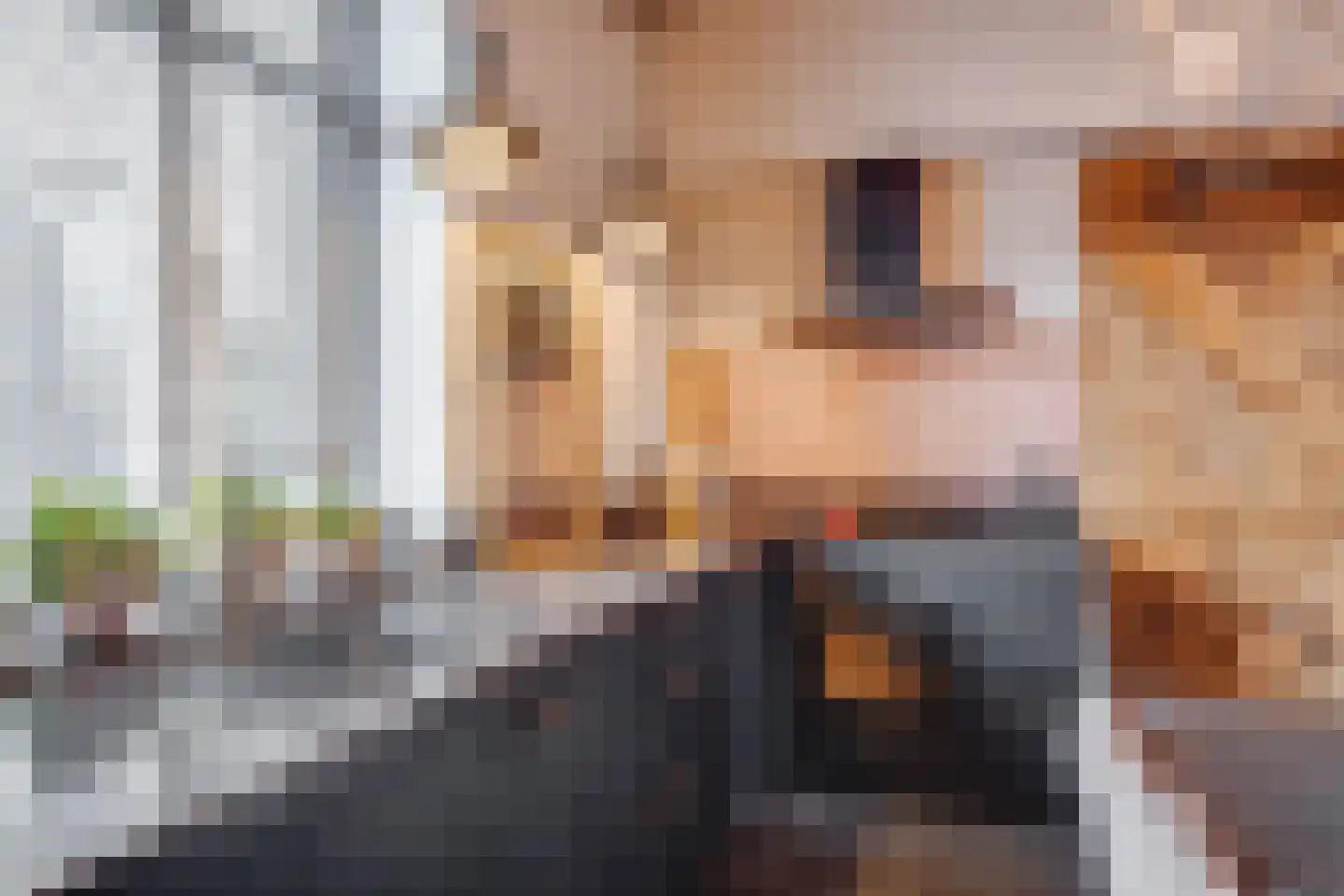 Dorpsstraat 23 Geesteren thumbnail 12