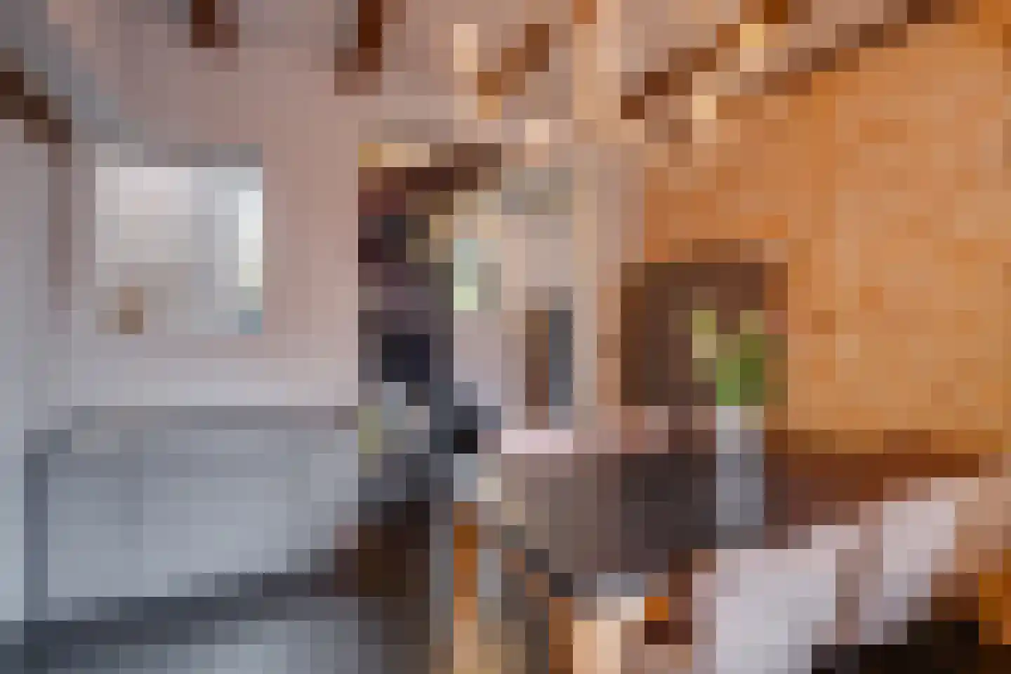 Dorpsstraat 23 Geesteren thumbnail 13