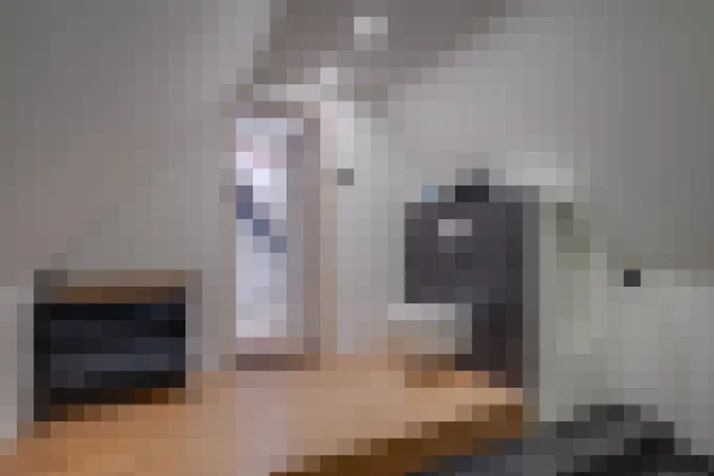 Dorpsstraat 23 Geesteren thumbnail 22