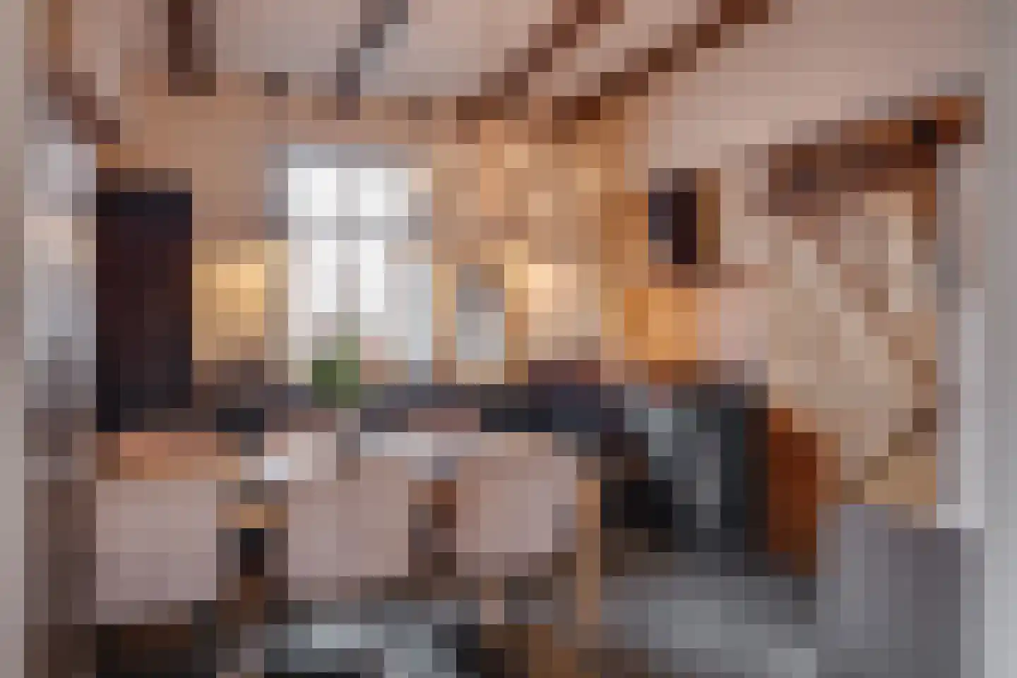 Dorpsstraat 23 Geesteren thumbnail 5