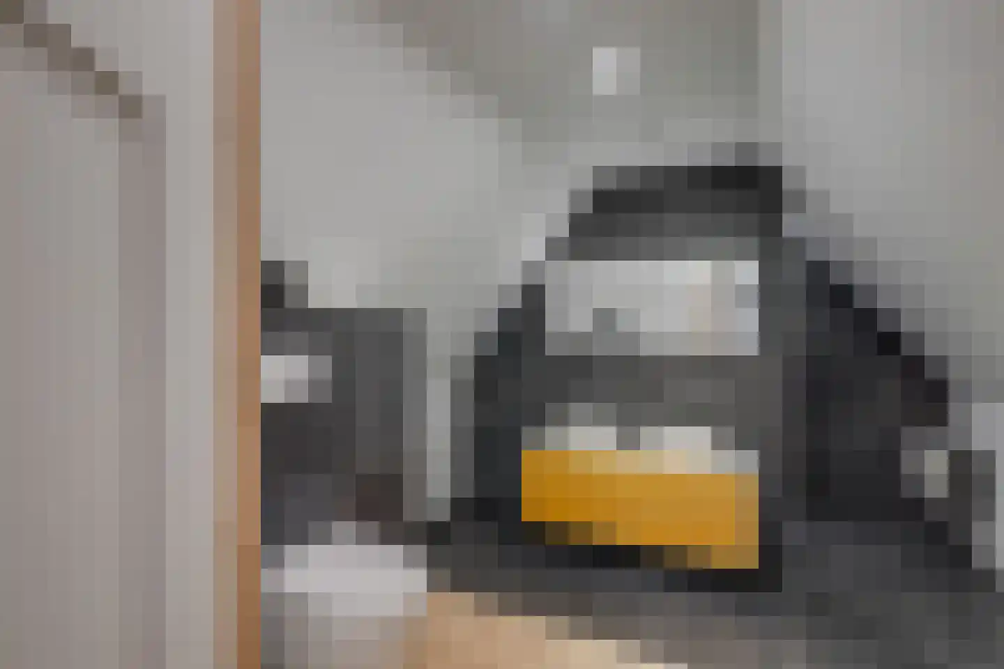 Dorpsstraat 23 Geesteren thumbnail 6
