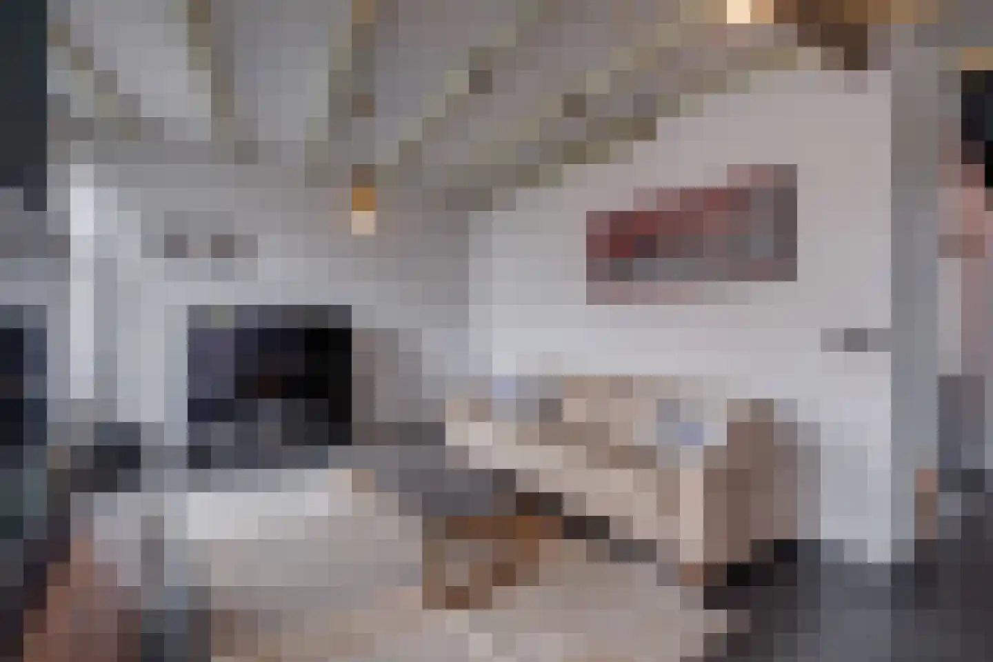 Dorpsstraat 23 Geesteren thumbnail 9