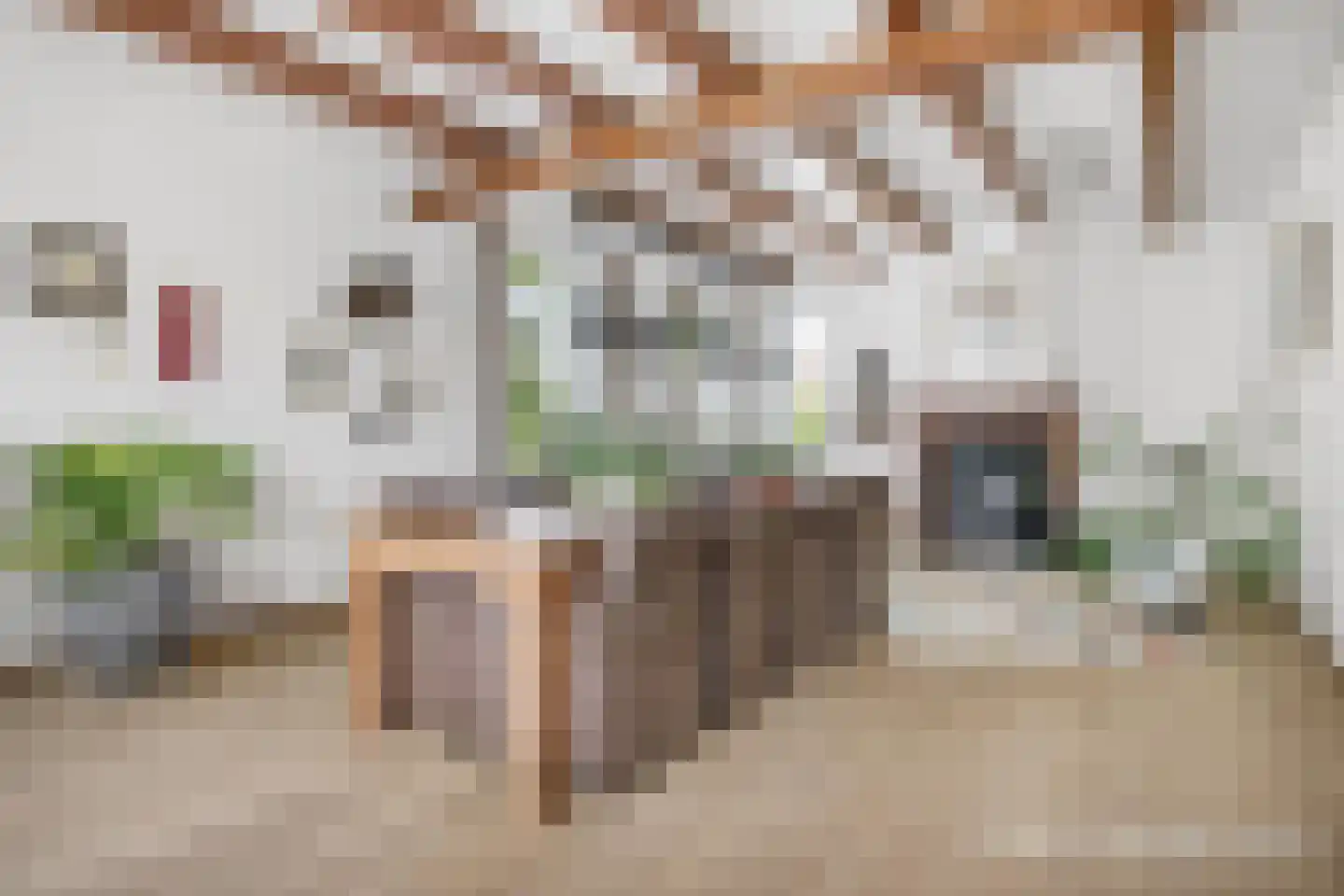 Dorpsstraat 23 Hendrik-Ido-Ambacht thumbnail 12