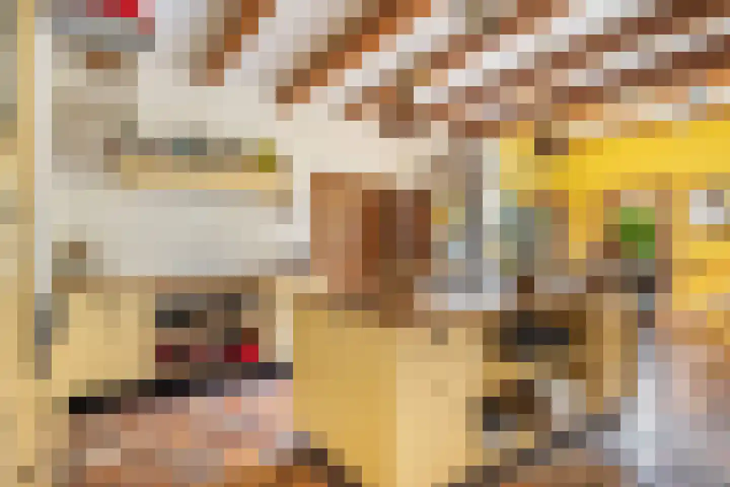 Dorpsstraat 23 Hendrik-Ido-Ambacht thumbnail 25