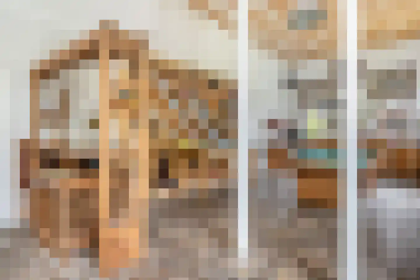 Dorpsstraat 23 Hendrik-Ido-Ambacht thumbnail 40