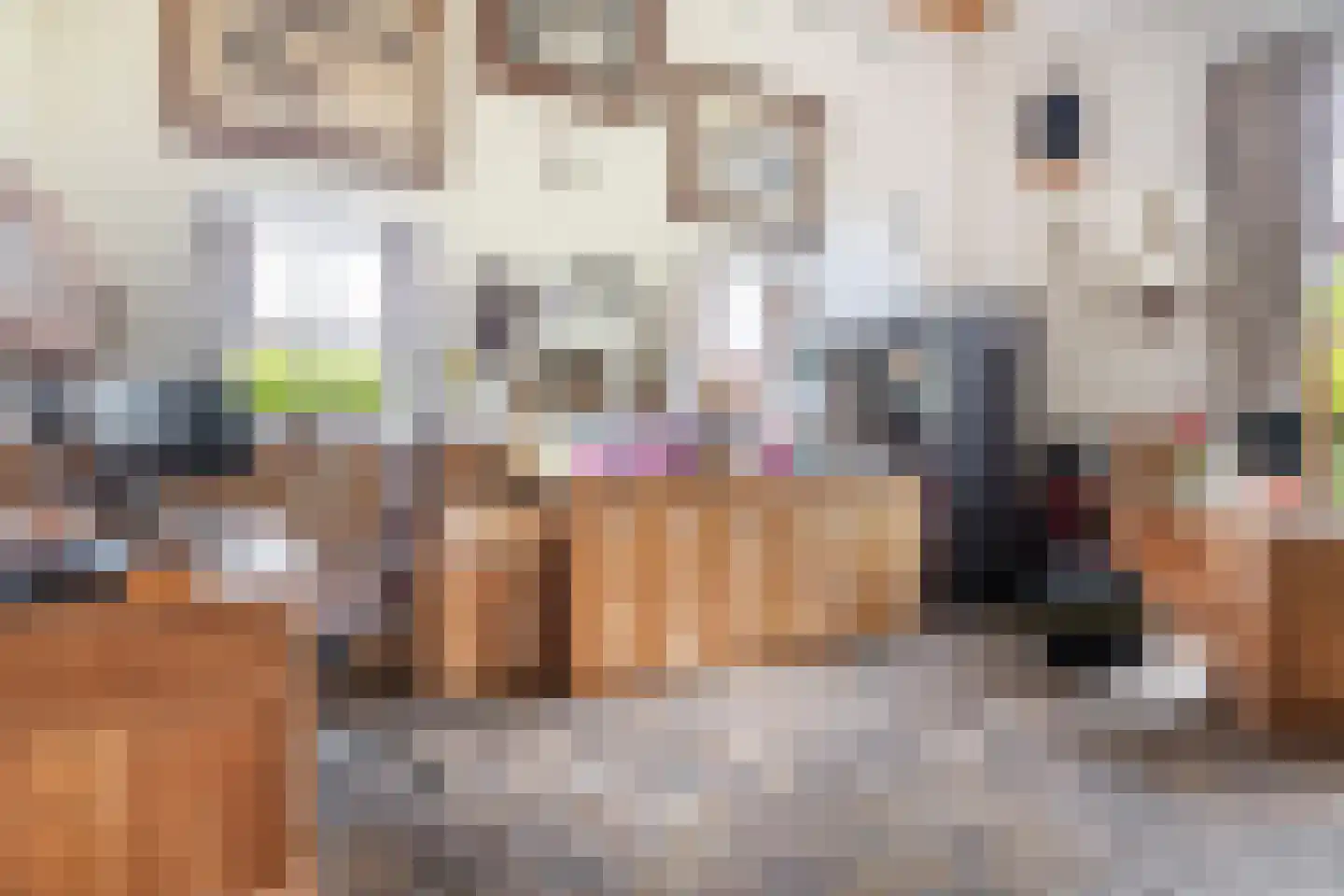 Dorpsstraat 23 Hendrik-Ido-Ambacht thumbnail 42