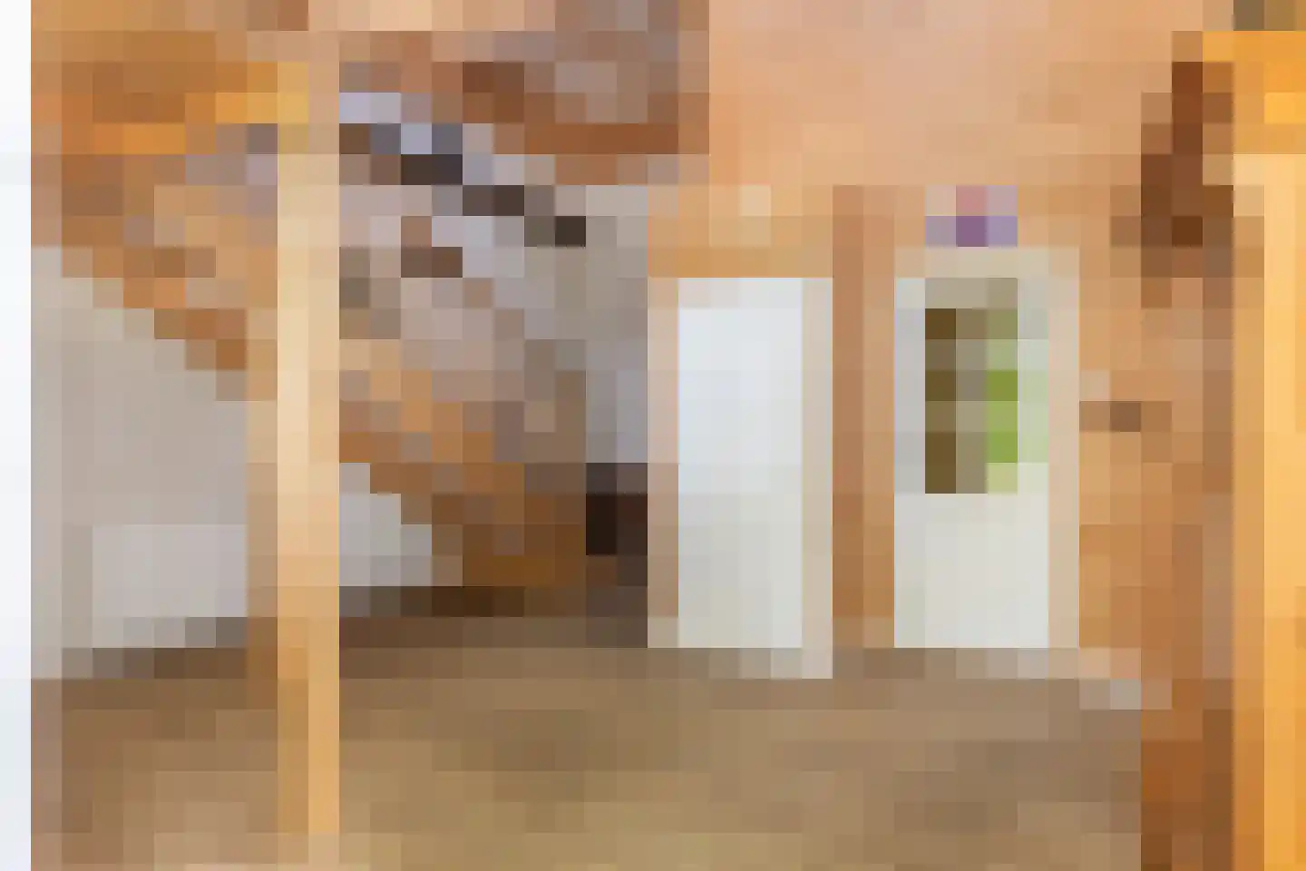 Dorpsstraat 23 Hendrik-Ido-Ambacht thumbnail 90