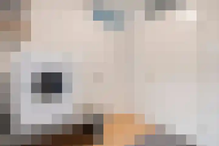Dorpsstraat 23 Koekange thumbnail 18