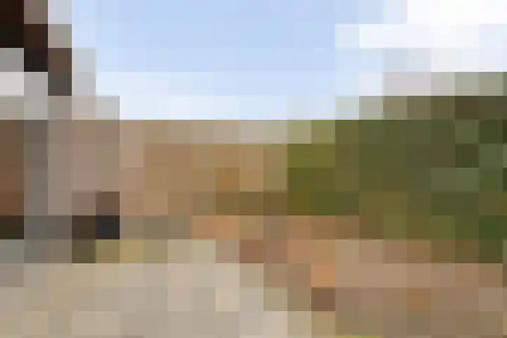 Dorpsstraat 23 Koekange thumbnail 32