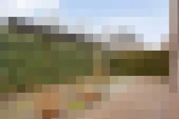 Dorpsstraat 23 Koekange thumbnail 37