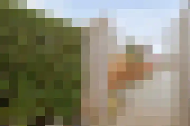 Dorpsstraat 23 Koekange thumbnail 40