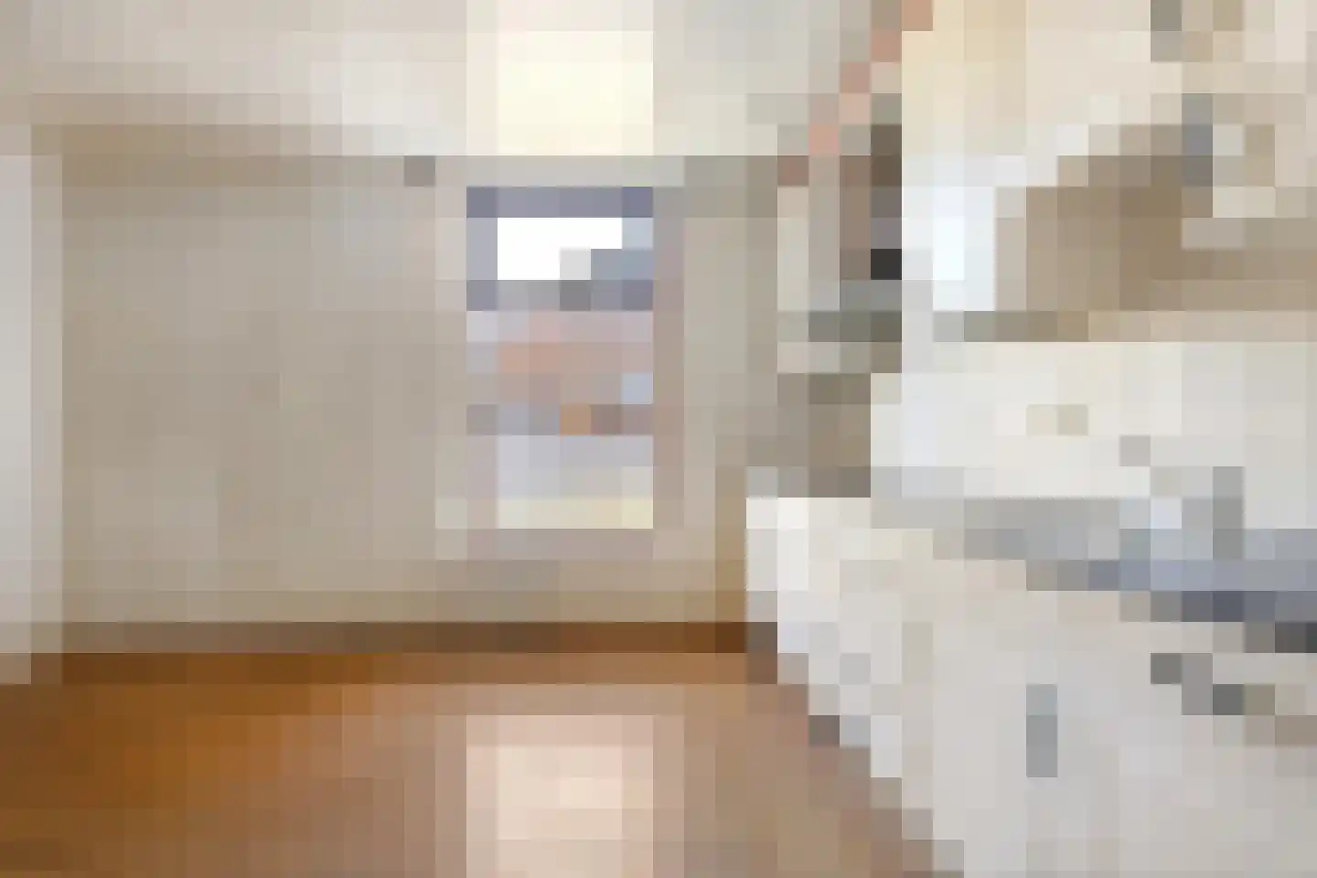 Dorpsstraat 23 Kommerzijl thumbnail 12