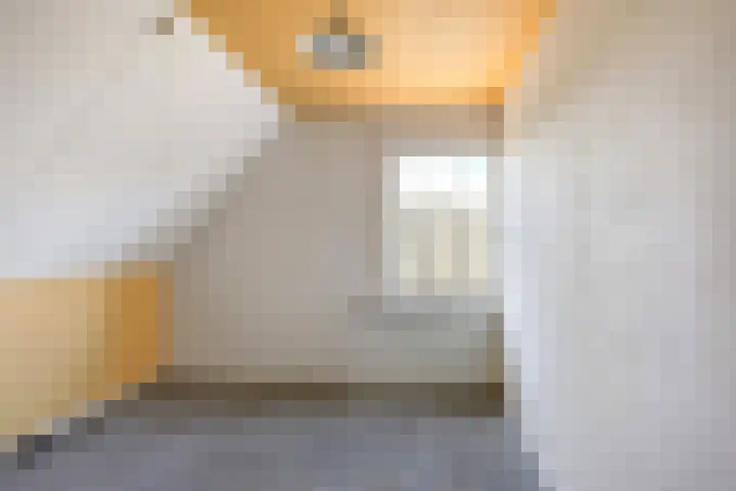 Dorpsstraat 23 Kommerzijl thumbnail 34