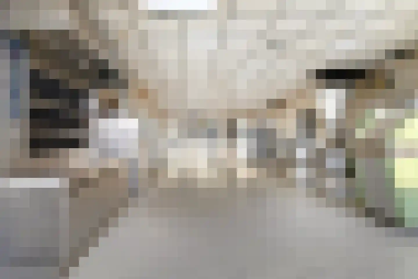 Dorpsstraat 23 Kommerzijl thumbnail 40