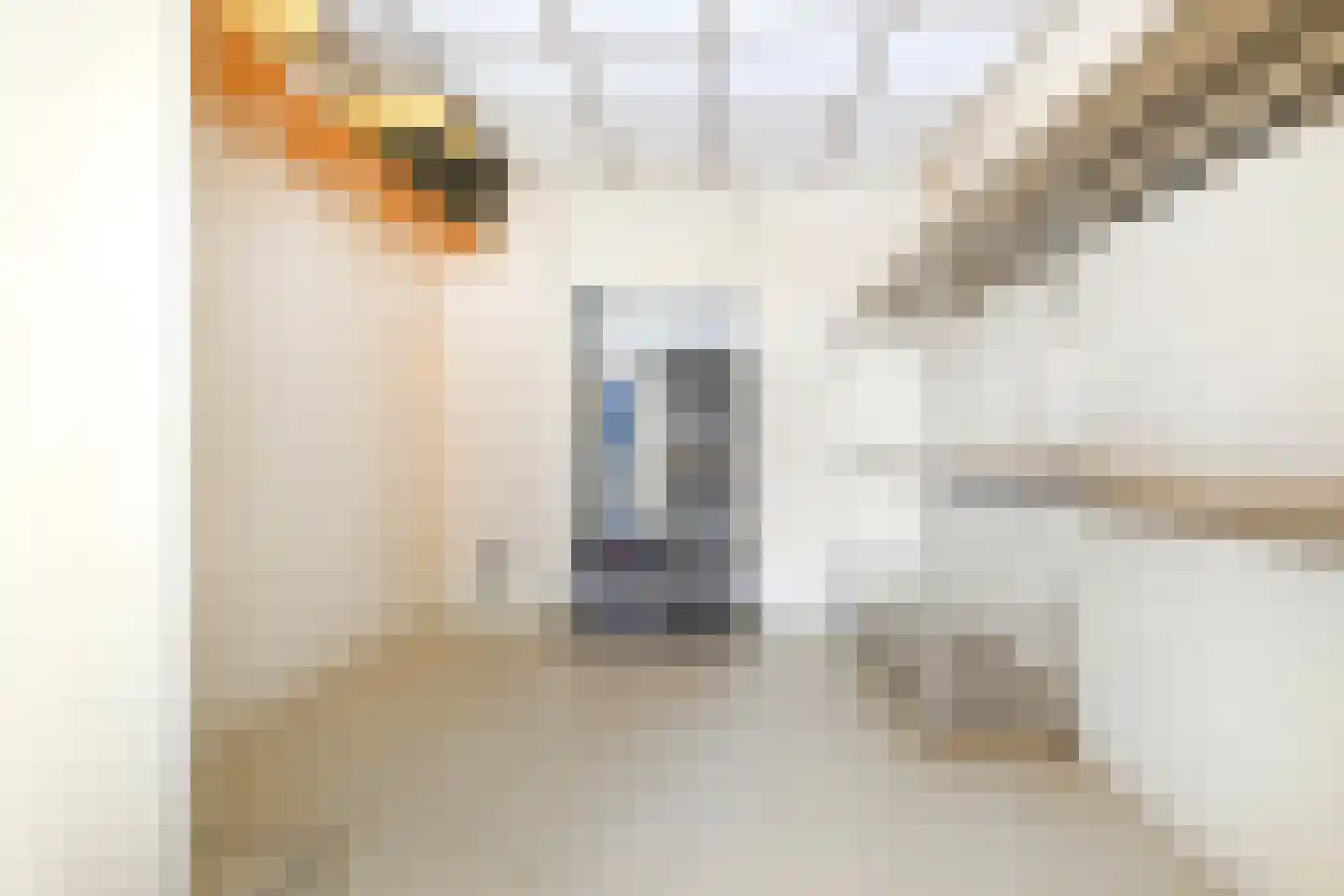 Dorpsstraat 23 Kommerzijl thumbnail 47
