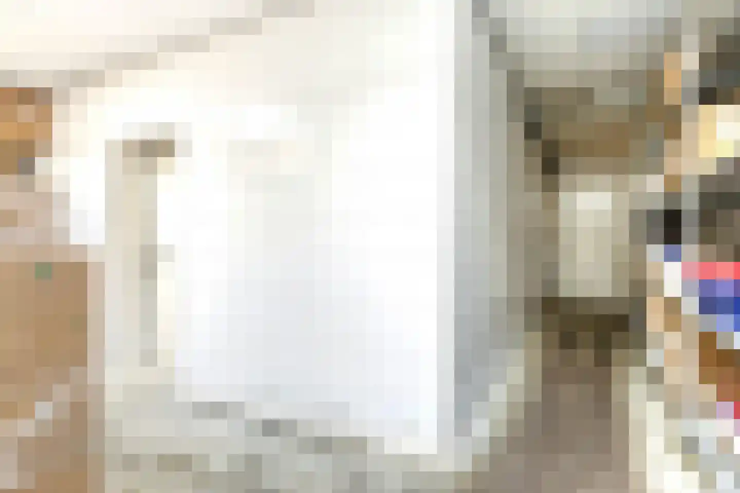 Dorpsstraat 23 Kommerzijl thumbnail 48