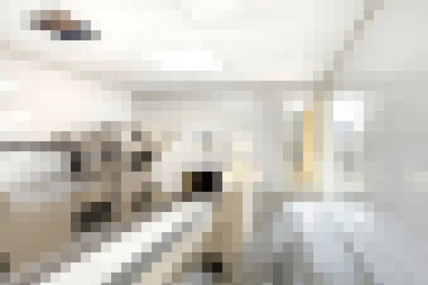 Dorpsstraat 23 Kommerzijl thumbnail 51