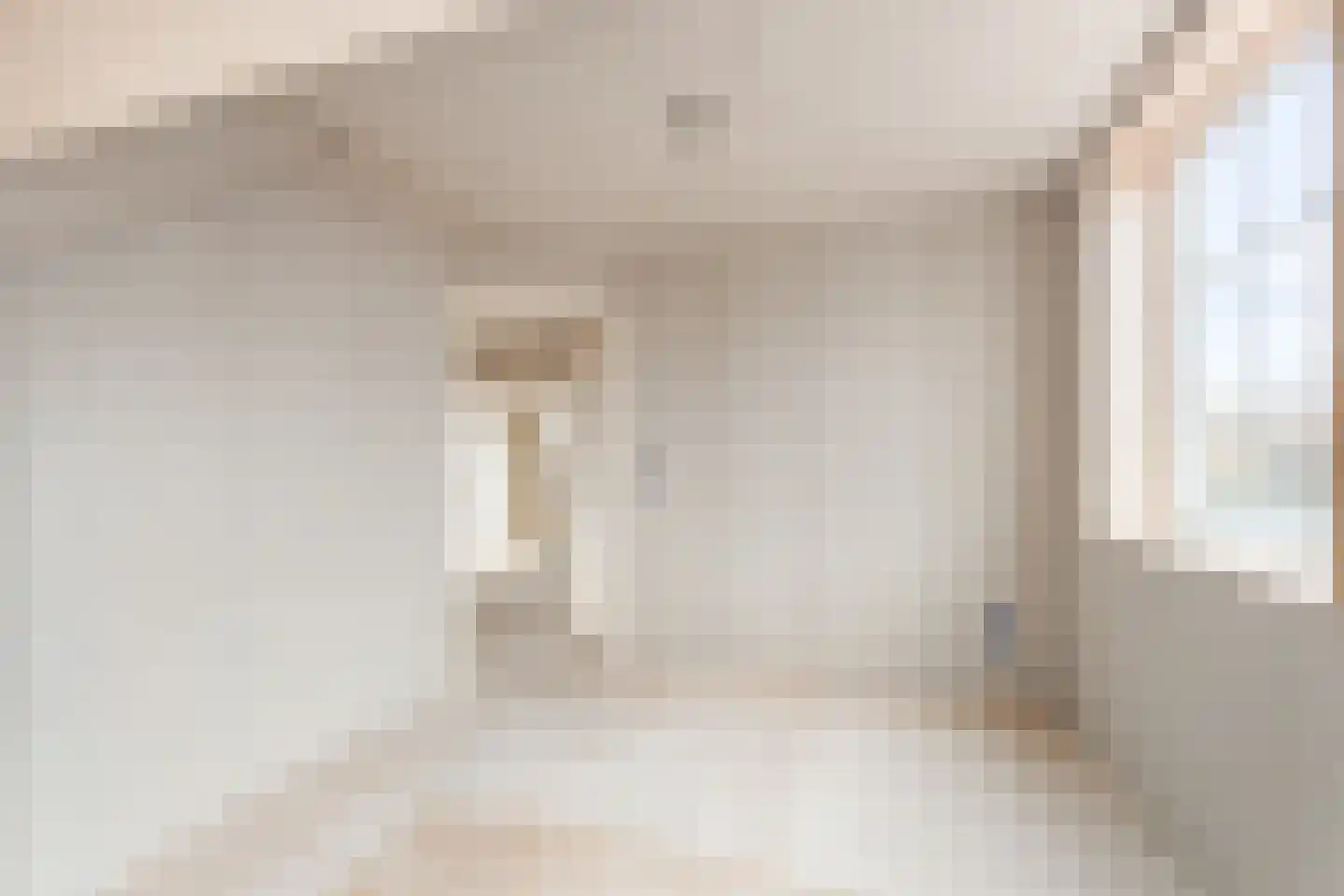 Dorpsstraat 23 Meeuwen thumbnail 25