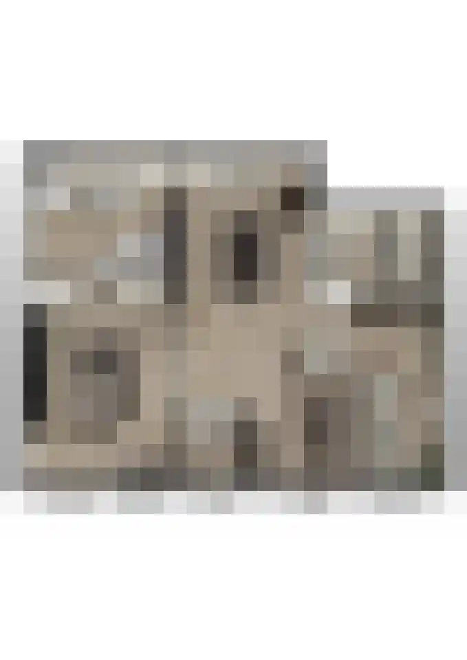 Dorpsstraat 23 Meeuwen thumbnail 34