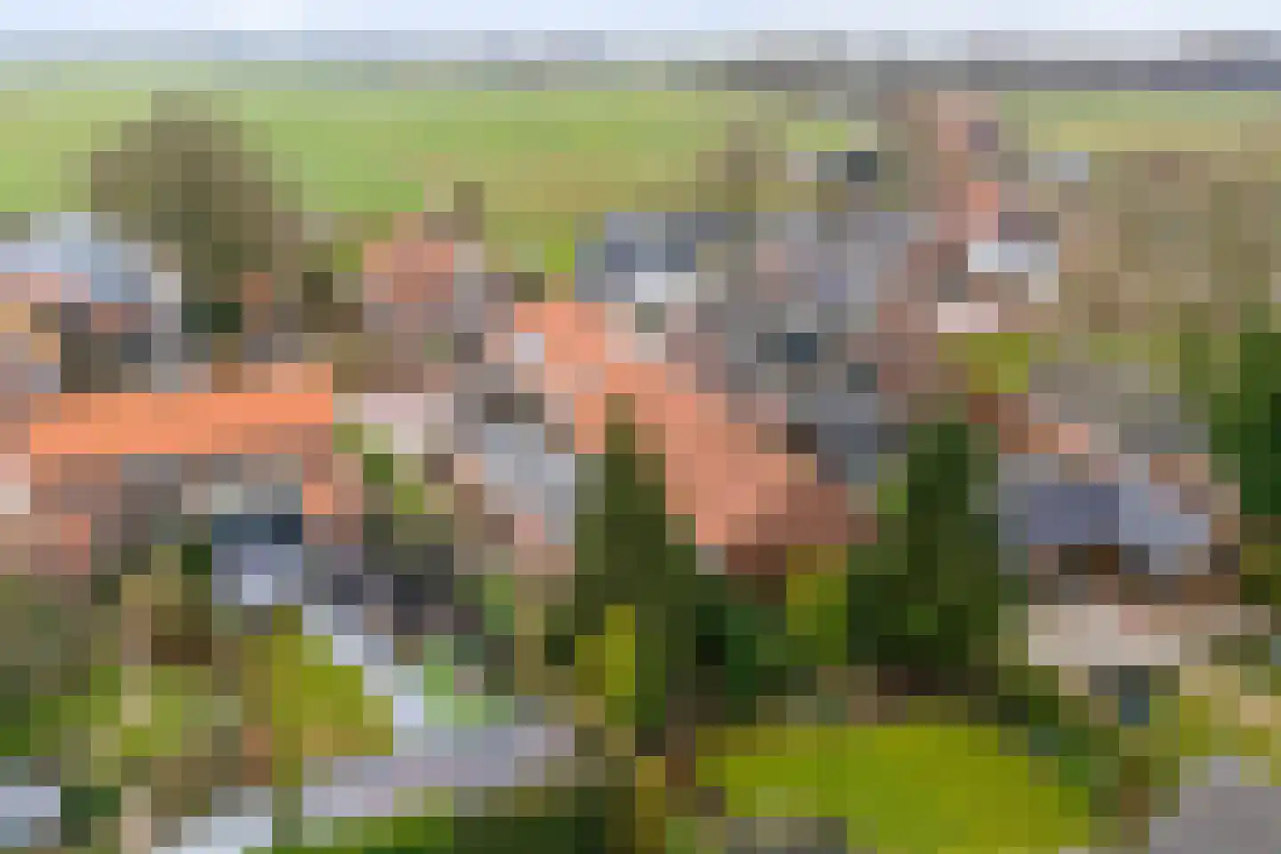Dorpsstraat 23 Meeuwen thumbnail 4