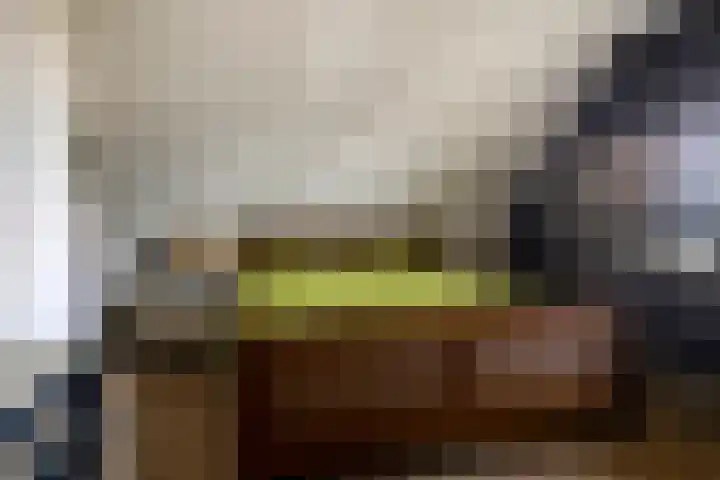 Dorpsstraat 23 Nijeveen thumbnail 24