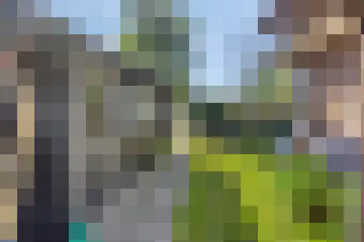 Dorpsstraat 23 Nijeveen thumbnail 33