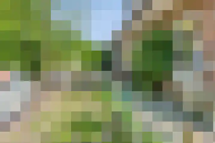 Dorpsstraat 23 Nijeveen thumbnail 36