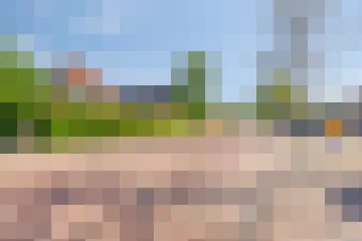 Dorpsstraat 23 Nijeveen thumbnail 39