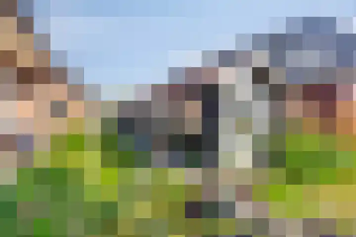 Dorpsstraat 23 Nijeveen thumbnail 4