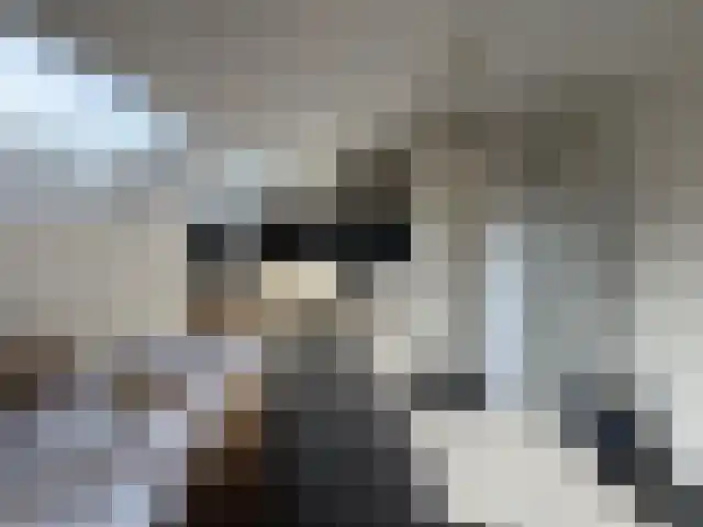 Dorpsstraat 23 Ohé en Laak thumbnail 4