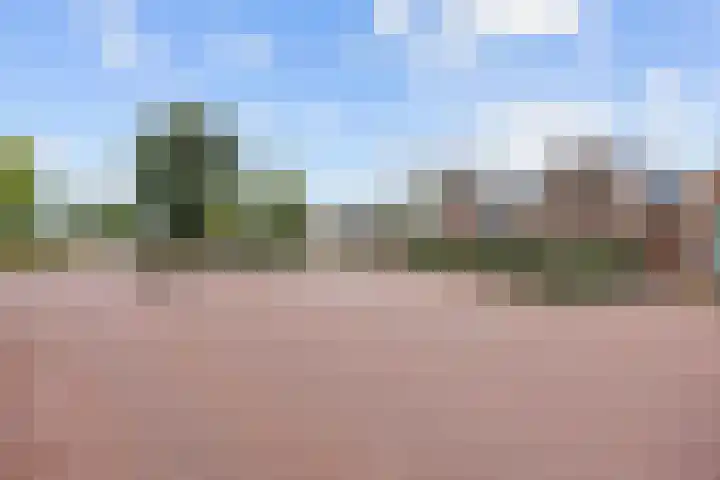 Dorpsstraat 23 Peins thumbnail 10