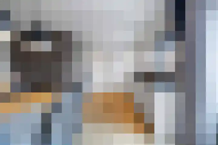 Dorpsstraat 23 Peins thumbnail 26