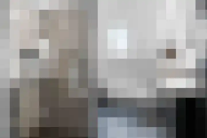 Dorpsstraat 23 Peins thumbnail 4