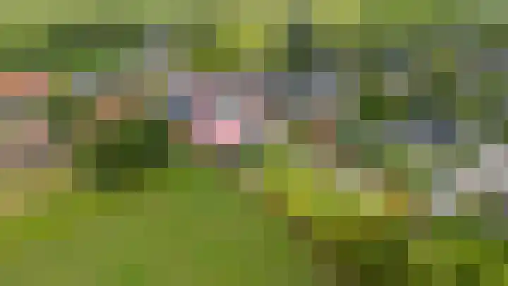 Dorpsstraat 23 Peins thumbnail 6