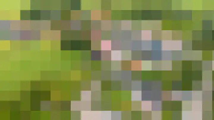 Dorpsstraat 23 Peins thumbnail 69