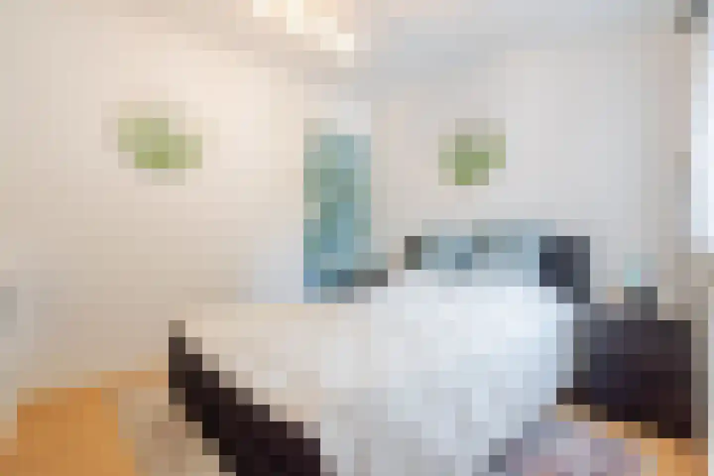 Dorpsstraat 23 Slenaken thumbnail 20