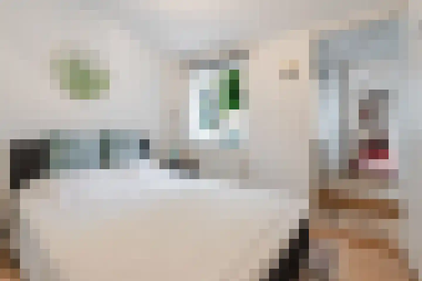 Dorpsstraat 23 Slenaken thumbnail 21