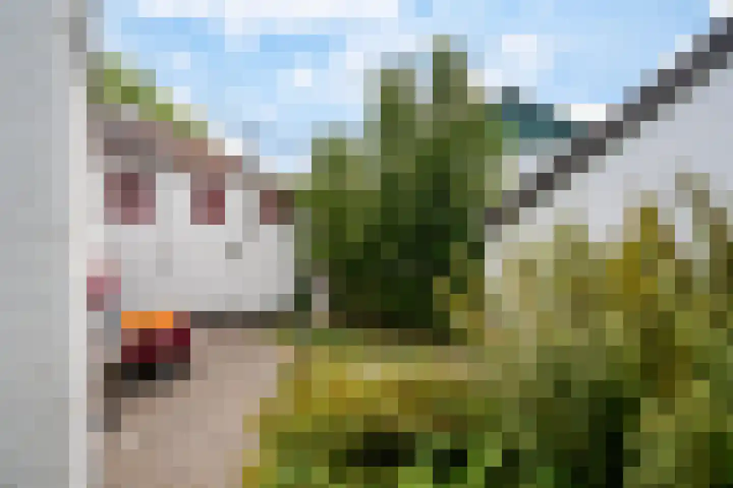 Dorpsstraat 23 Slenaken thumbnail 43