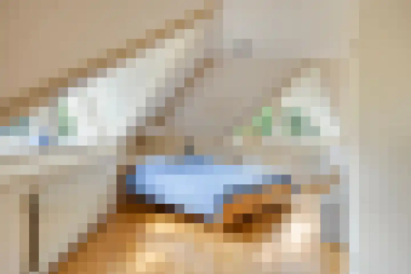 Dorpsstraat 23 Steenderen thumbnail 29