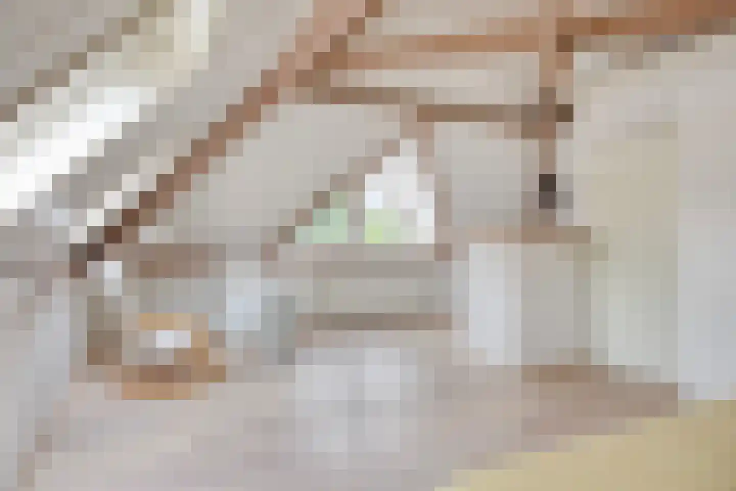 Dorpsstraat 23 Steenderen thumbnail 36