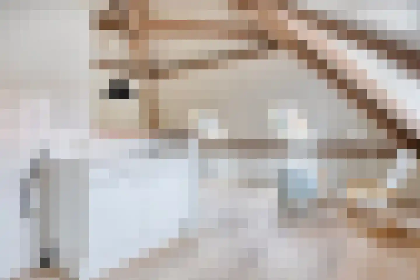 Dorpsstraat 23 Steenderen thumbnail 39